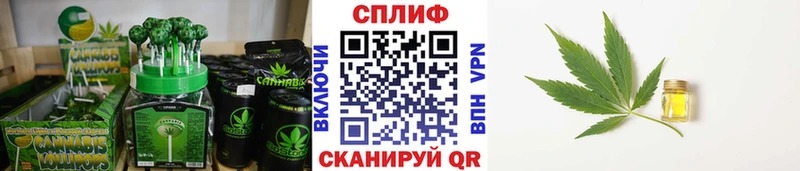 OMG ONION  Козельск  Cannafood конопля 